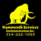 Mammouth Environmental Services